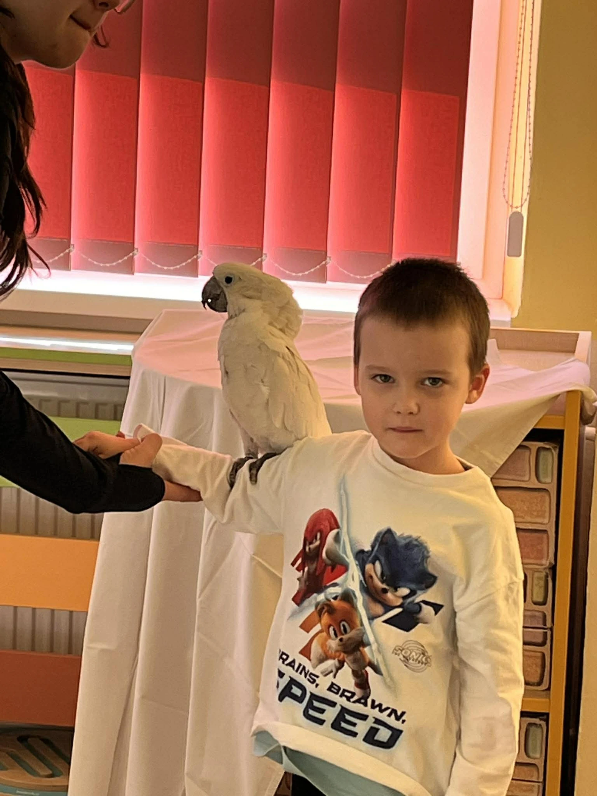 Papagáje v škôlke / Papagájok az óviban