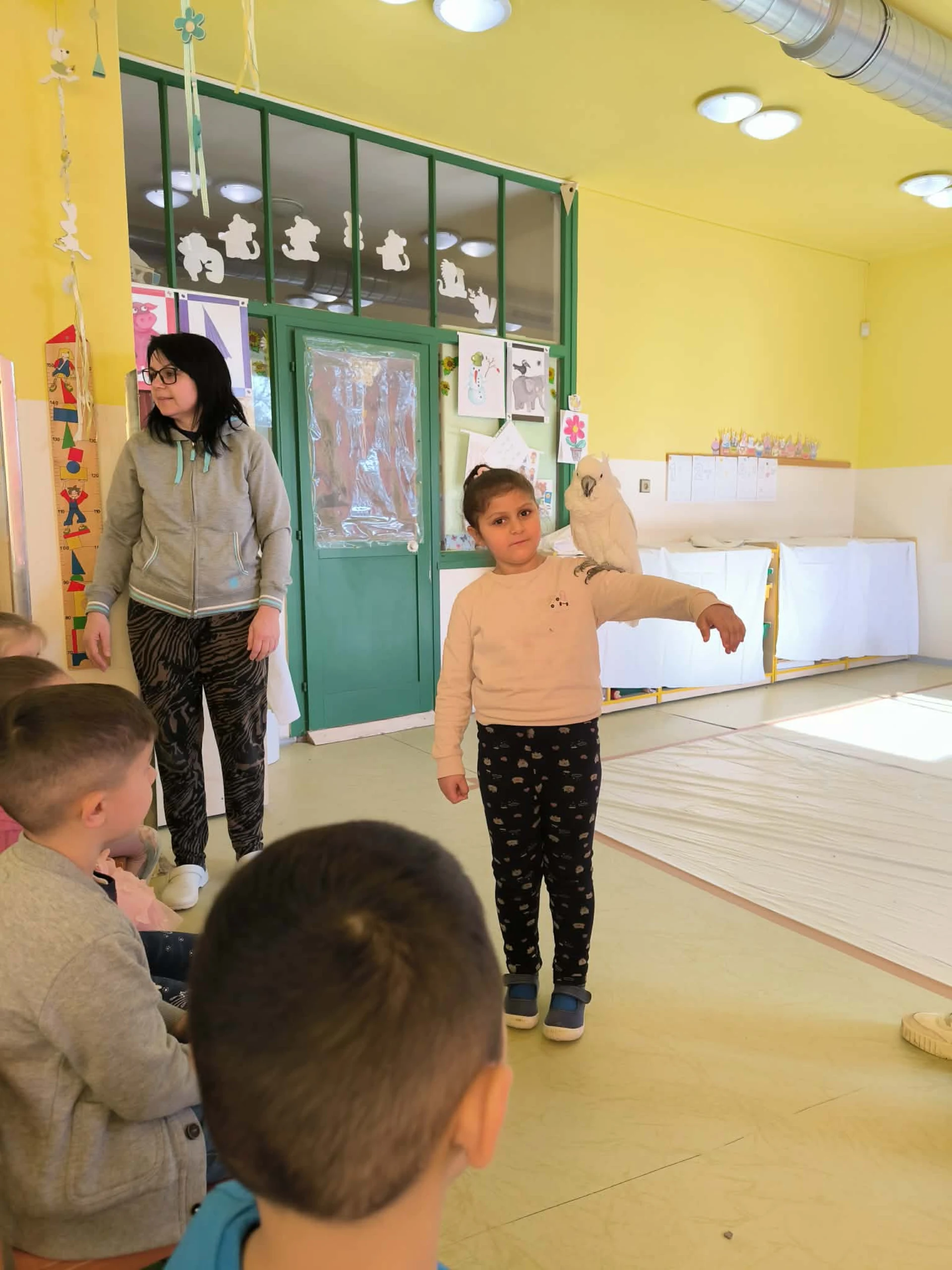 Papagáje v škôlke / Papagájok az óviban