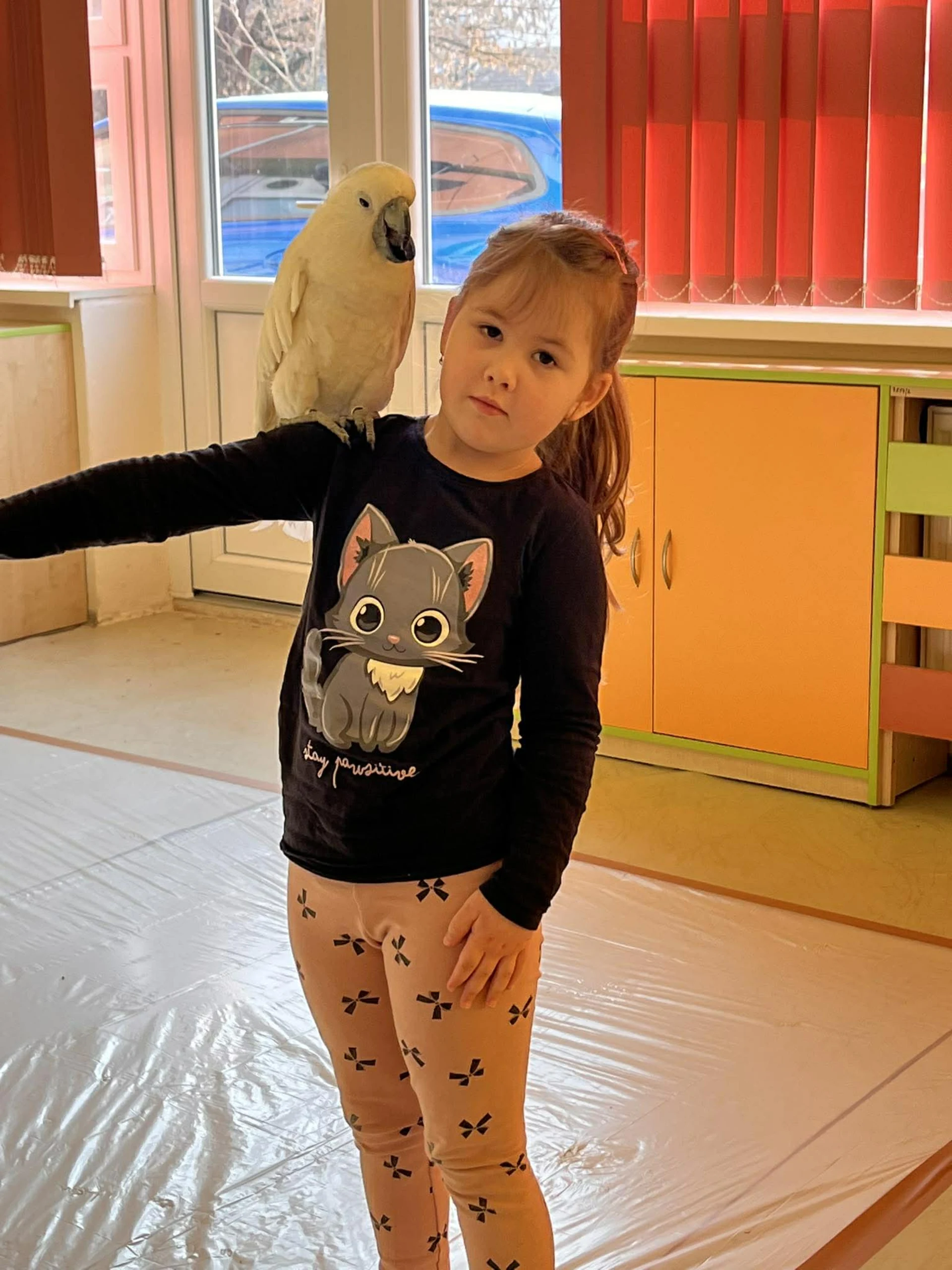 Papagáje v škôlke / Papagájok az óviban